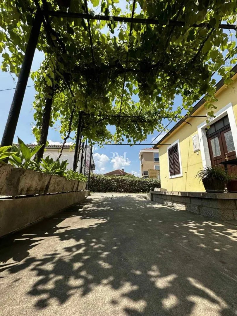 Yard of the house with a covered area overgrown with vines and a paved plateau.