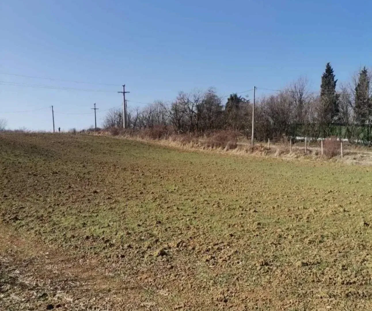 Prodaja, plac, 19600m², Dubona, Mladenovac