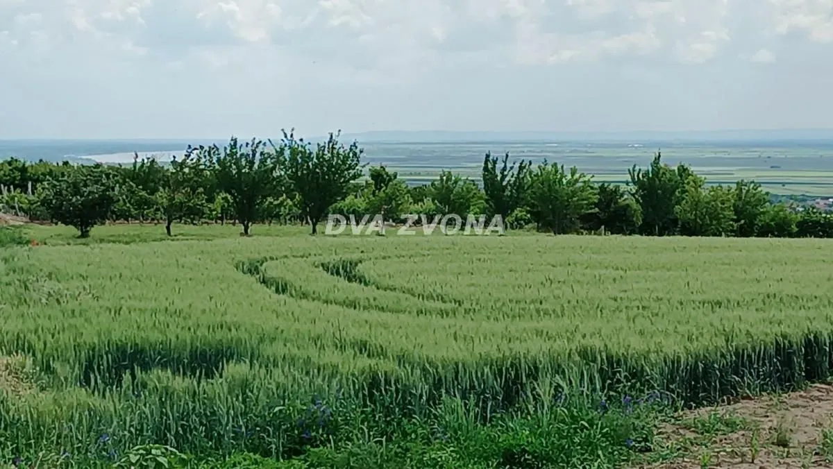 Sale, land lot, 136m², Stari Slankamen, Inđija