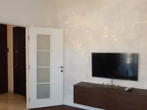 Izdavanje, jednosoban stan, 40m², Podgorica, Crna Gora - image 4