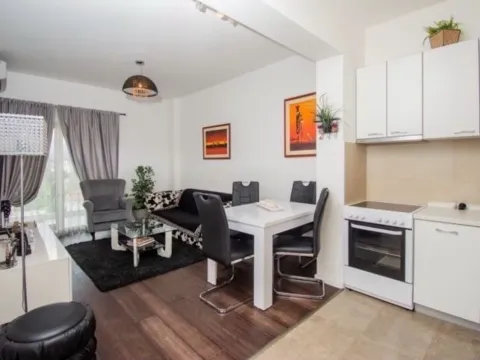 Izdavanje, jednosoban stan, 48m², Vezirov Most, Podgorica - image 6