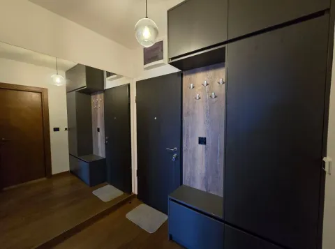 Rent, one bedroom apartment, 51m², Ljubović, Podgorica - image 2