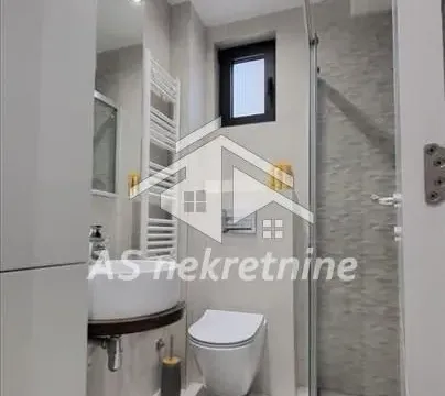 Izdavanje, dvosoban stan, 40m², Voždovac Sve Podlokacije, Beograd - image 11
