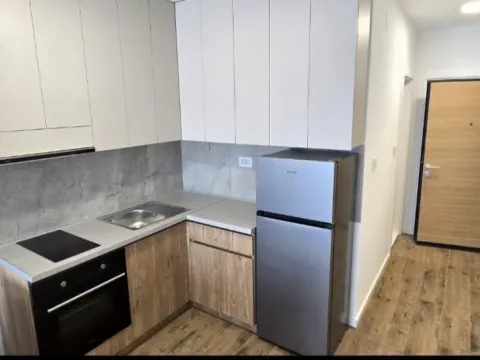 Izdavanje, jednosoban stan, 35m², Veternik, Novi Sad Sve Podlokacije - image 3