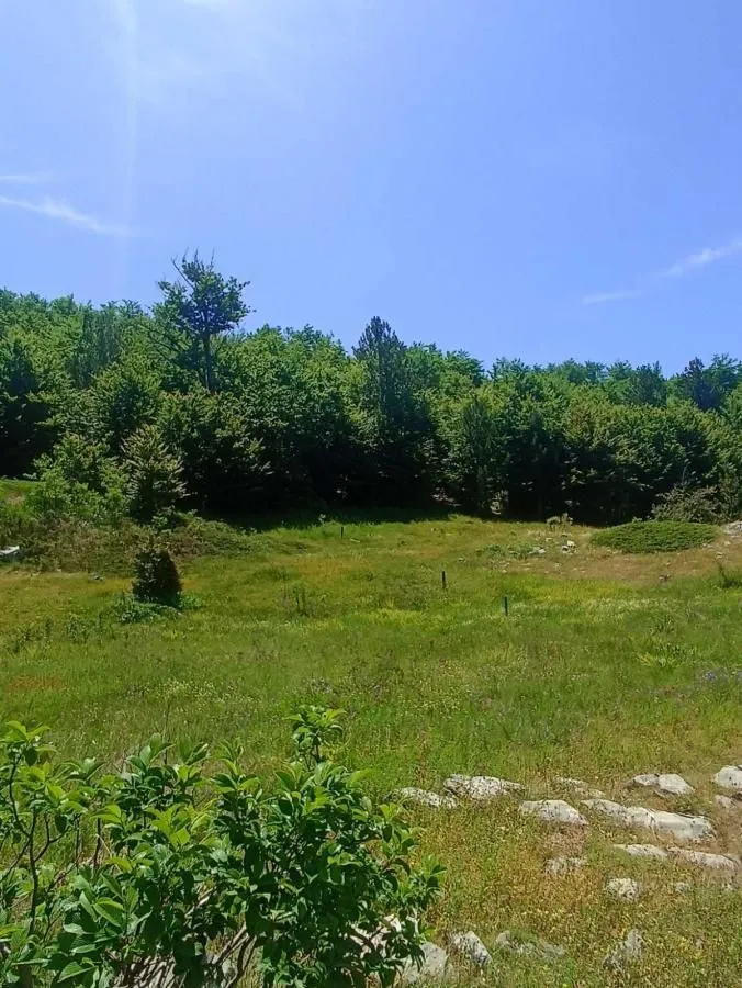 Prodaja, plac, 500m², Podgorica, Crna Gora