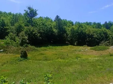 Prodaja, plac, 500m², Podgorica, Crna Gora - image 3