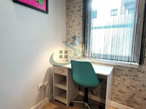 Rent, one bedroom apartment, 35m², Botanička Bašta, Palilula Sve Podlokacije - image 11