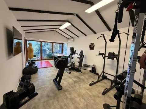 Prodaja, kuća, 318m², Petrovaradin, Novi Sad - image 65