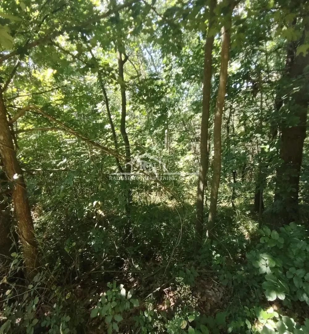 Sale, land lot, 1800m², Sopot, Beograd
