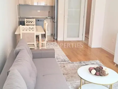 Izdavanje, stan, 46m², Central Point, Podgorica - image 9