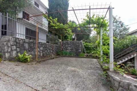 Dvorište sa natkrivenom terasom i lozom ispred kuće. - image 14
