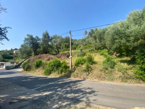 Prodaja, plac, 872m², Kavač, Kotor - image 6