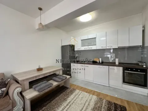 Izdavanje, jednosoban stan, 50m², Stara Varoš, Podgorica - image 6