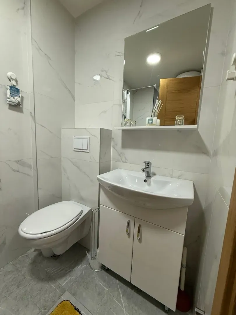 Modern bathroom with a sink, vanity cabinet, mirror, and toilet.