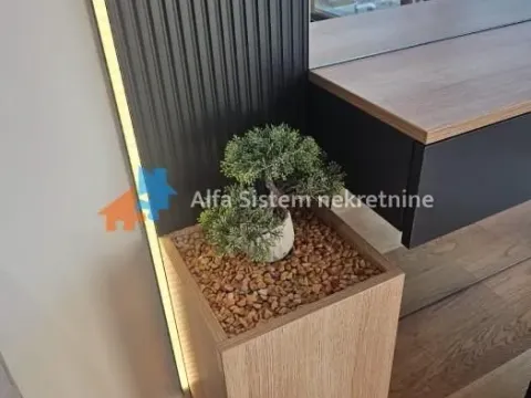 Izdavanje, jednosoban stan, 40m², Novi Beograd Blok 65, Novi Beograd Sve Podlokacije - image 5