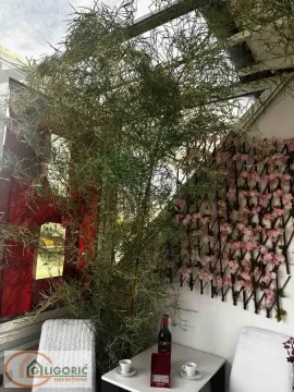 Manji zatvoreni balkon sa ukrasnim biljem i stolom sa stolicama. - image 19