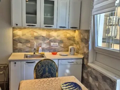 Izdavanje, trosoban stan, 60m², Vračar Centar, Vračar Sve Podlokacije - image 4