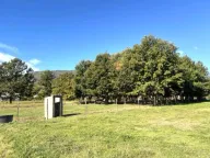 Prodaja, plac, 1258m², Ćurilac, Danilovgrad - image 3