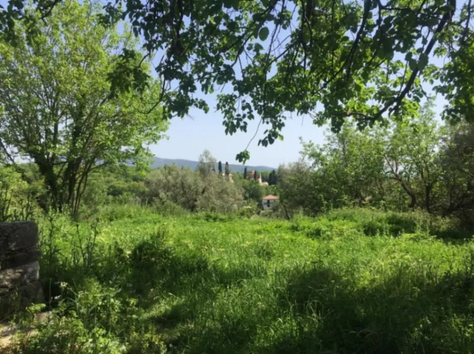 Sale, land lot, 6881m², Podi, Herceg Novi