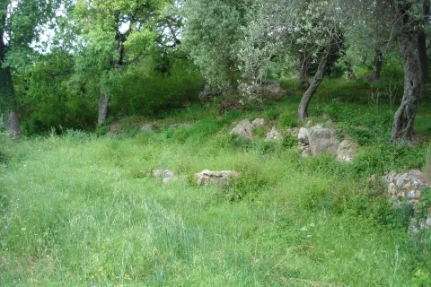 Zeleni plac sa drvećem i travnatom površinom. - image 5