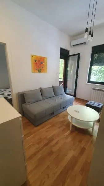 Rent, one bedroom apartment, 45m², Socijalno, Novi Sad Sve Podlokacije