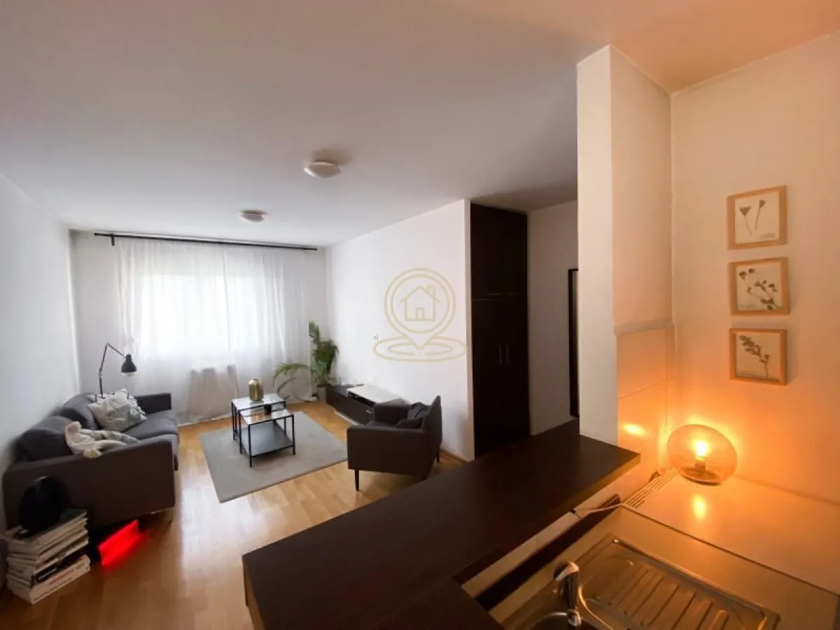 Izdavanje, dvosoban stan, 44m², Vračar Sve Podlokacije, Beograd