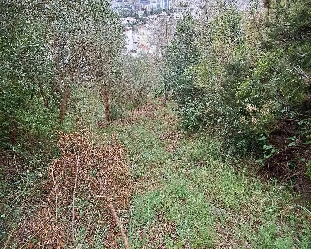 Prodaja, plac, 3004m², Podkošljun, Budva