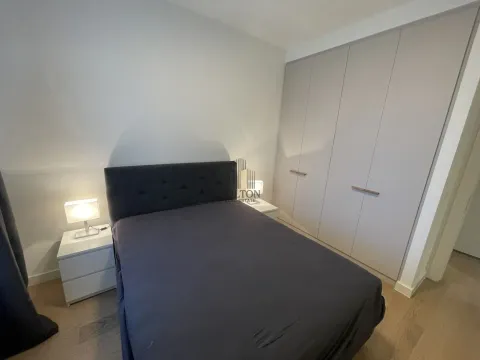 Izdavanje, dvosoban stan, 53m², Savski Venac, Beograd - image 6