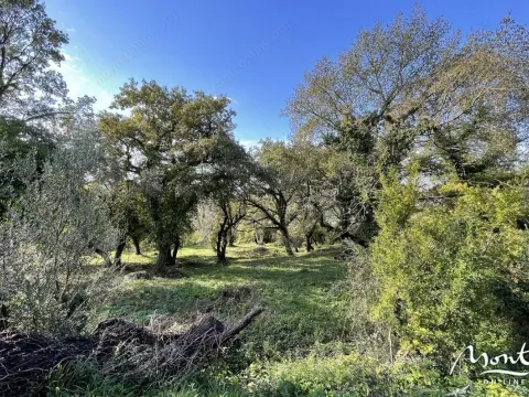 Prodaja, plac, 350m², Kavač, Kotor - image 14