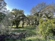 Sale, land lot, 3m², Kavač, Kotor - image 14