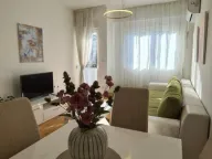 Rent, one bedroom apartment, 42m², Zabjelo, Podgorica - image 3