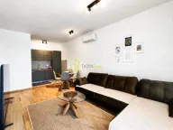 Izdavanje, jednosoban stan, 45m², Pobrežje, Podgorica - image 1