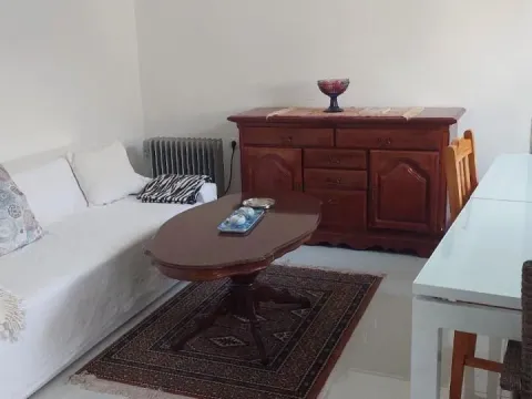 Sale, house, 1000m², Selters Banja, Mladenovac