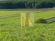 Prodaja, plac, 23m², Beočin, Srbija - image 4