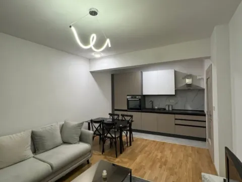 Izdavanje, stan, 48m², Ljubović, Podgorica - image 3