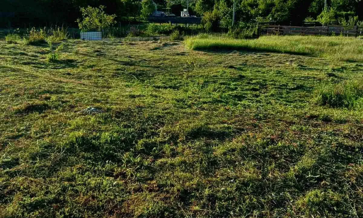 Prodaja, plac, 4000m², Cetinje, Crna Gora