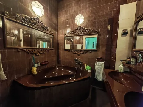 Prodaja, kuća, 350m², Srbobran, Novi Sad - image 9