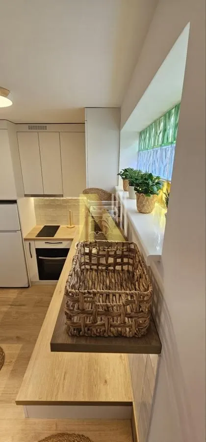 Izdavanje, jednosoban stan, 38m², Podbara, Novi Sad Sve Podlokacije
