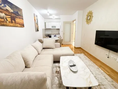 Rent, one bedroom apartment, 46m², Zagorič, Podgorica - image 1