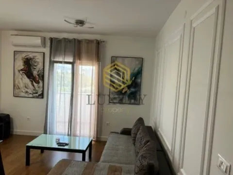 Izdavanje, jednosoban stan, 48m², Zabjelo, Podgorica - image 1