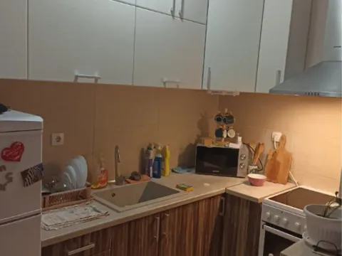 Sale, two bedroom apartment, 50m², Telep, Novi Sad Sve Podlokacije - image 7