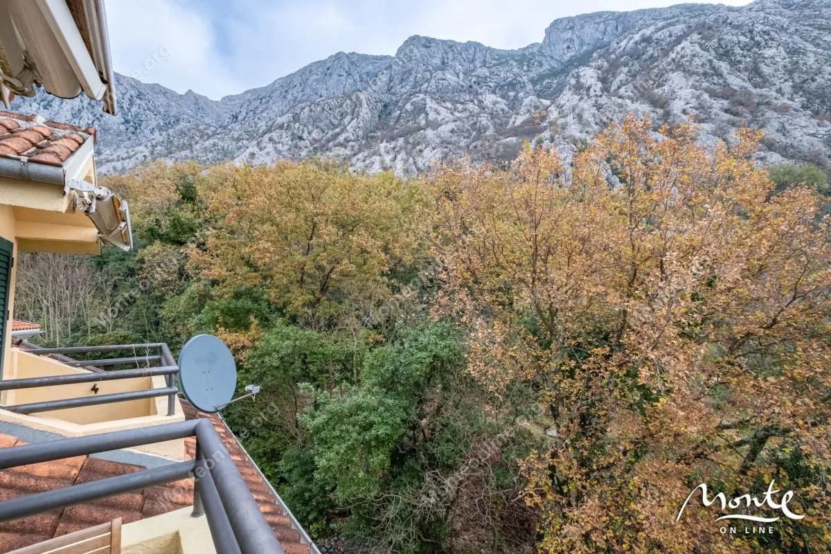 Prodaja, dvosoban stan, 44m², Ljuta, Kotor