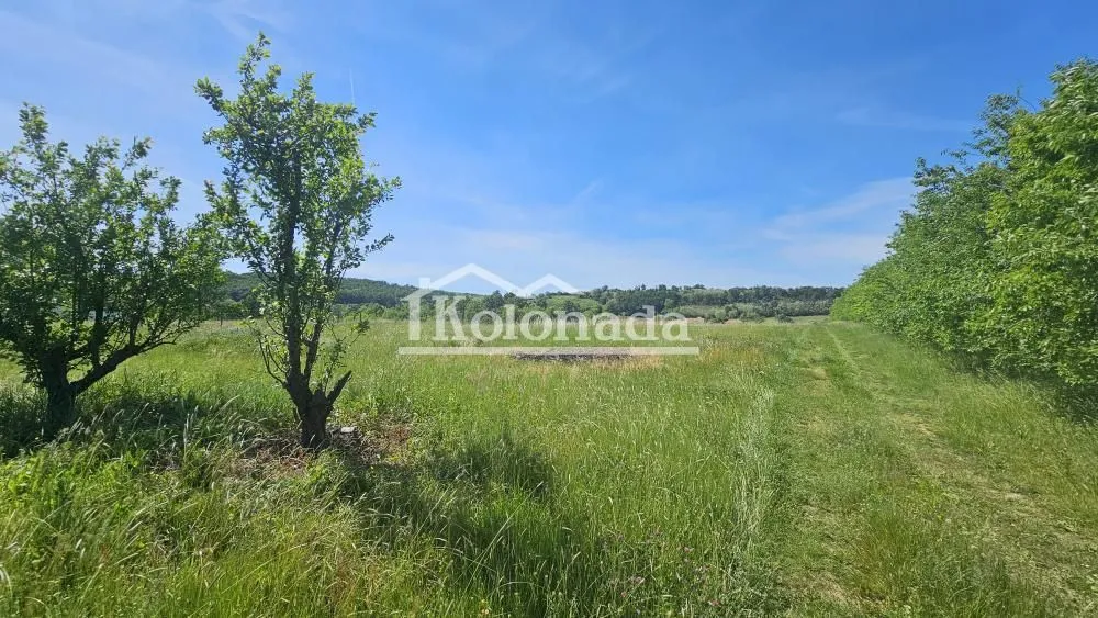 Prodaja, plac, 19400m², Sopot, Beograd