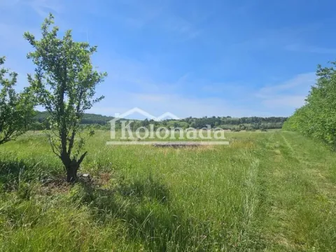 Prodaja, plac, 19400m², Sopot, Beograd - image 5