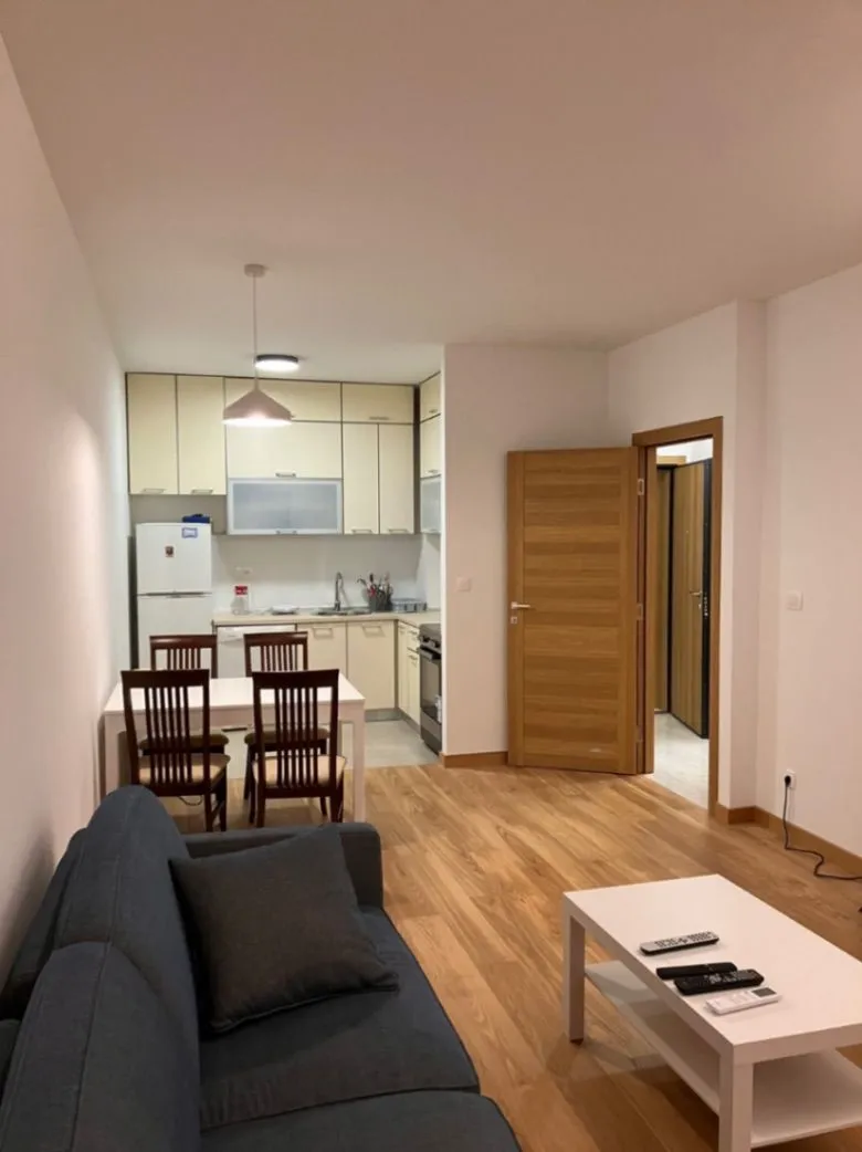 Izdavanje, jednosoban stan, 48m², New City, Podgorica