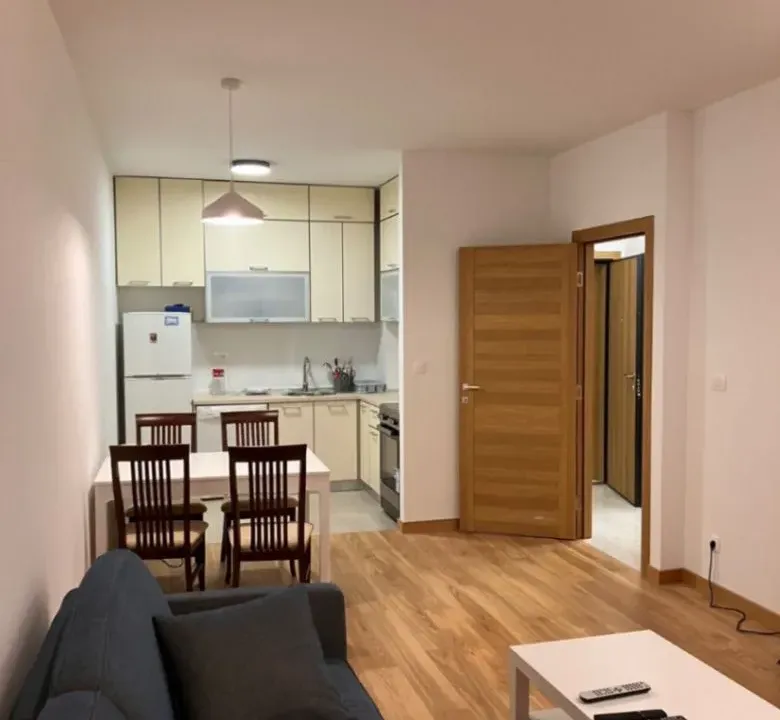 Izdavanje, jednosoban stan, 48m², New City, Podgorica