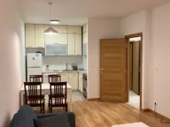 Izdavanje, jednosoban stan, 48m², New City, Podgorica - image 1