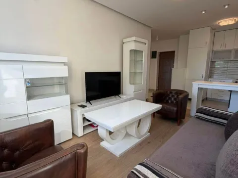 Izdavanje, jednosoban stan, 38m², Autobuska stanica, Podgorica - image 2