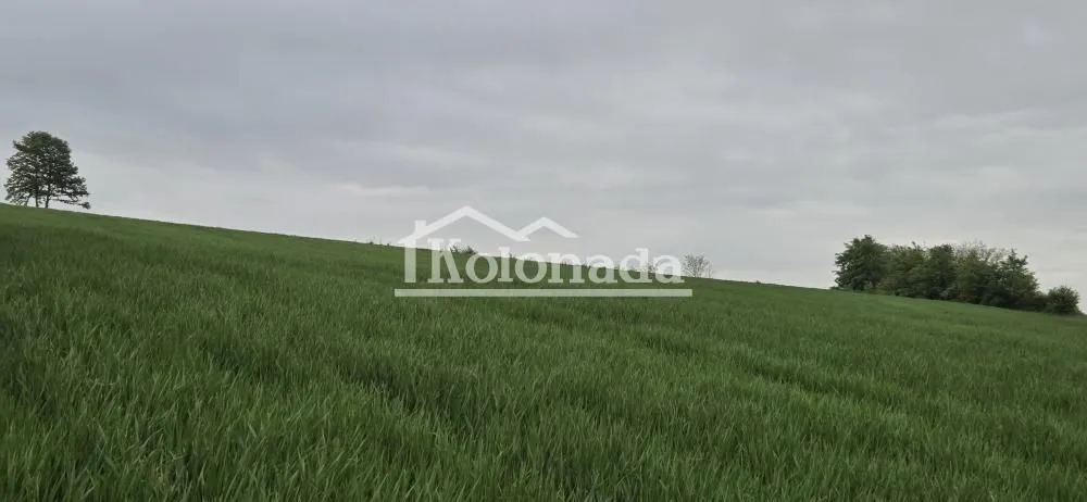Prodaja, plac, 44100m², Sopot, Beograd