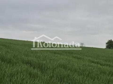 Prodaja, plac, 44100m², Sopot, Beograd - image 4